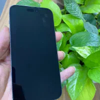 iPhone 14pro max|موبایل|شیراز, آزادی|دیوار