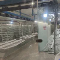 نیروی بسته بندی کار