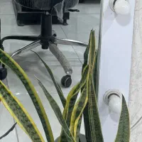 صندلی پارتیشن تخت اپلاسیون باکس مکاپ