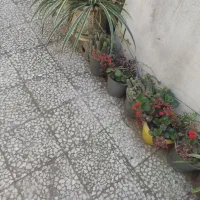 خط تلفن ثابت شماره روند