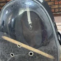کیف حمل پرنده