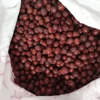 عناب خراسان|خوردنی و آشامیدنی|نطنز, |دیوار