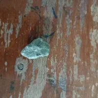 سنگ ژادیت سبز|جواهرات|مشهد, چهاربرج|دیوار