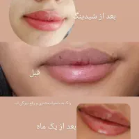 مدل شیدینگ لب