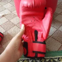 کیسه بوکس و دستکش بوکس. برای تمرین و مبارزه