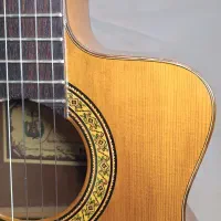 گیتار Prudencio Saez مدل 50 Cutaway|گیتار، بیس، امپلیفایر|رشت, گلسار|دیوار