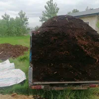 خاک برگ پوسیده|خدمات باغبانی و درختکاری|رشت, دباغیان|دیوار