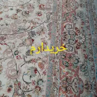 فرش ۶ متری طرح نورافشان شاپرک