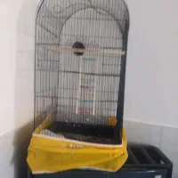 قفس پرنده ۵۰۰