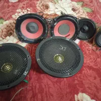 یک جفت باند میدرنج،وتوییتر