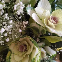 سبد گل طبیعی زیبا و شیک|گل و گیاه طبیعی|تهران, سیمای ایران|دیوار