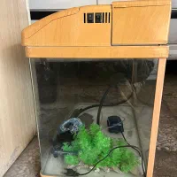 آکواریوم با وسایل|ماهی|تهران, آهنگران (سراسیاب دولاب)|دیوار