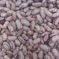 لوبیا چیتی ۳۵۰ نخود۱۴۰