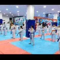 منشی باشگاه|استخدام اداری و مدیریت|شیراز, هفت تنان|دیوار