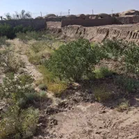 فروش زمین مناسب گاوداری،گلخانه،اسطبل،گلخانه|فروش زمین و ملک کلنگی|رفسنجان, |دیوار