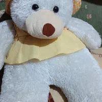 یه عدد خرس بزرگ