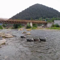 اجاره ویلای شیک و دنج رودخانه توتکابن رودبار|اجارهٔ کوتاهمدت ویلا و باغ|رودبار, |دیوار