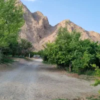 زمین باغی حسن آباد قلعه بزی نکوآباد دیزیچه مبارکه