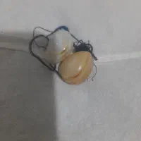 وسایل شخصی|جواهرات|یاسوج, |دیوار