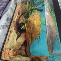 آکواریوم شیشه خم با لوارم در حد نو|ماهی|خسروشاه, |دیوار