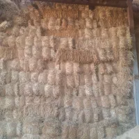 کاه گندم  پرس سفال