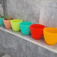 گلدانهای متنوع