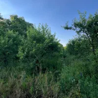 باغچه ویلایی جاده سلماس باربین ( املاک عمارت )