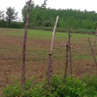 فروش زمین گیلان طاهرگوراب