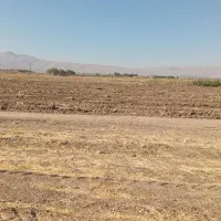 اجاره زمین|اجارهٔ دفتر صنعتی، کشاورزی، تجاری|سامن, |دیوار