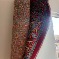 مکت|موکت|پرند, فاز ۶|دیوار