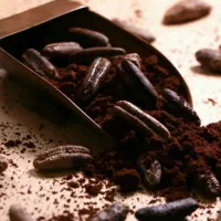 قهوه هسته خرما