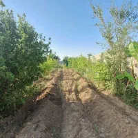 فروش-باغچه-خوش-قواره