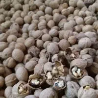 گردو|خوردنی و آشامیدنی|سلماس, |دیوار
