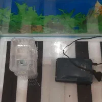 شیشه اکواریوم شرکتی وساده