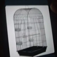 قفس بزرگ پرنده