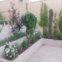 خانم برای نظافت منزل|خدمات نظافت|رفسنجان, |دیوار