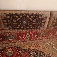 پشتی ۱۴عدد|پشتی|ایلام, |دیوار