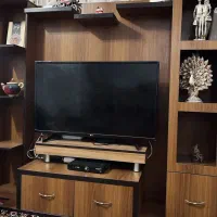 زیر تلوزیونی