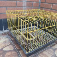 خرگوش باقفس|موش و خرگوش|محمدشهر, ولدآباد|دیوار