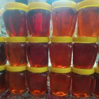 گنجینه عسل زارعی عسل چهل گیاه درجه ۱