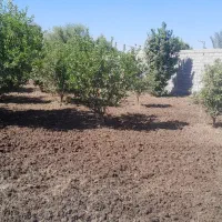 خدمات باغبانی شمس