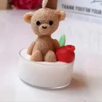 آخرین شب پاییز( گیفت)|صنایع دستی و سایر لوازم تزئینی|قم, امامزاده ابراهیم|دیوار