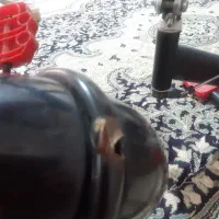 دوچرخه دلیجان|دوچرخه، اسکیت، اسکوتر|بروجرد, |دیوار