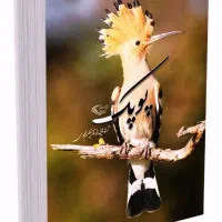 ترانه های خواندنی