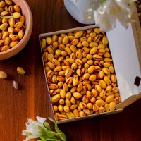 آجیل/پسته/میوه خشک/کره مغزیجات