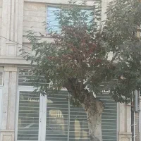 اجاره تجاری بر خیابان راهنمایی ،۱۵ میلیون،۴۰ متری