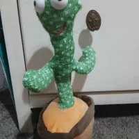 کاکتوس رخسان