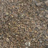 کشمش افتابی درجه یک|خوردنی و آشامیدنی|یزد, |دیوار