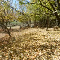 اجاره کلبه سنتی|اجارهٔ کوتاهمدت ویلا و باغ|الیگودرز, |دیوار