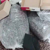 خرما زردان قیمت توافقی